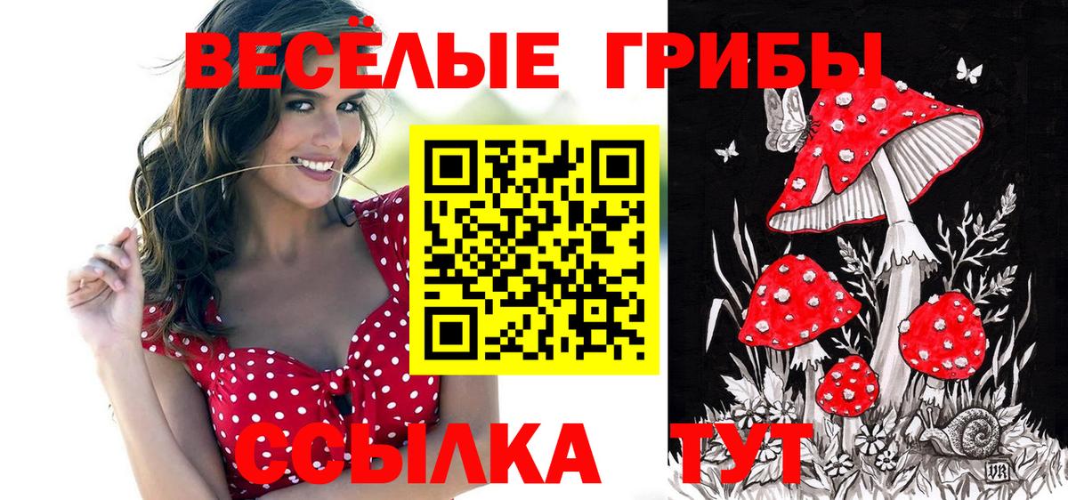 Галлюциногенные грибы Magic Shrooms Тамбов