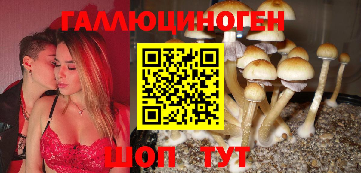 Галлюциногенные грибы мухоморы  Вход с VPN  Тамбов 
